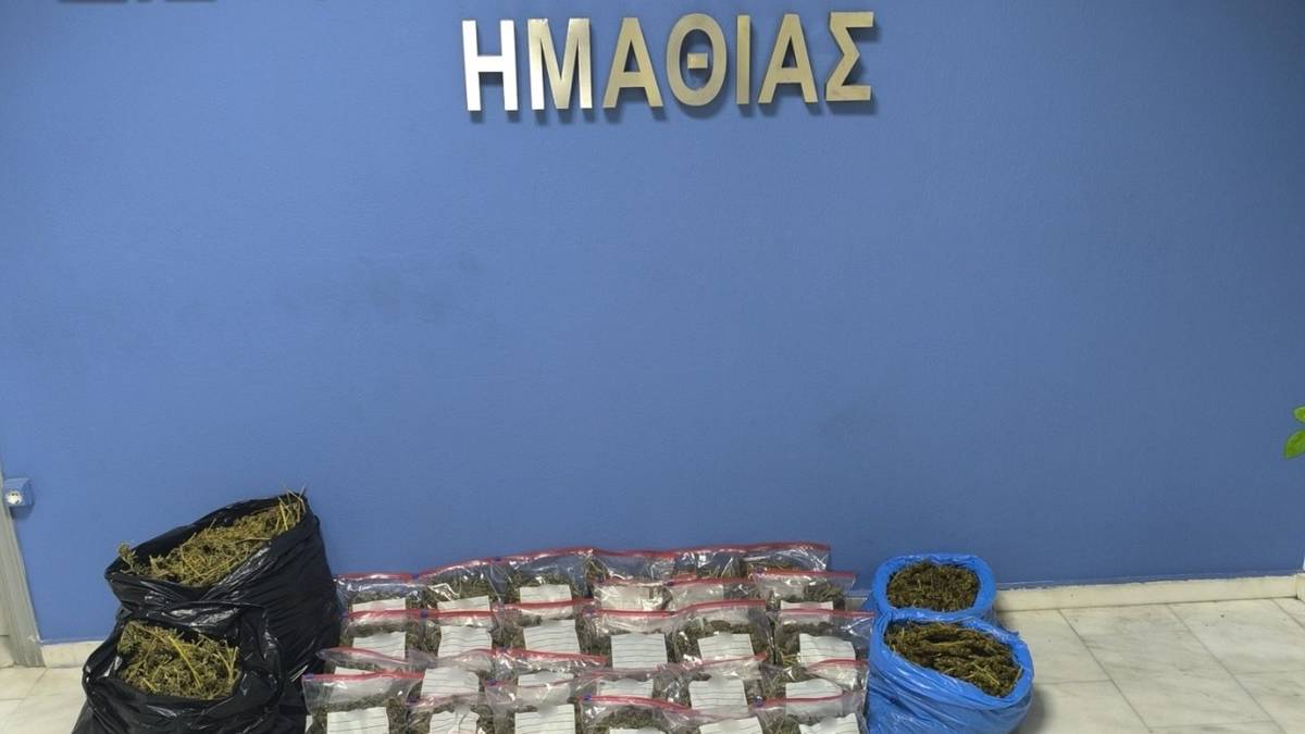 Τα ευρήματα της αστυνομικής επιχείρησης στην Ημαθία, σε φωτογραφία της Ελληνικής Αστυνομίας.