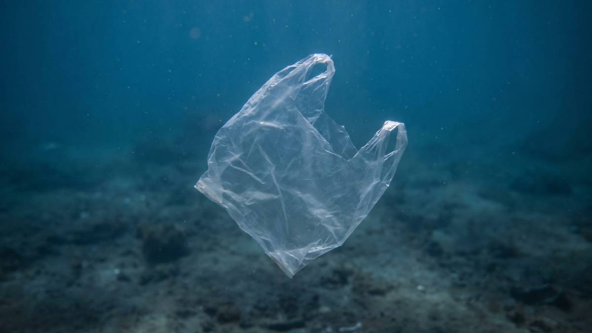 Ενδεικτική εικόνα φυσικού περιβάλλοντος. Δημιουργήθηκε με AI.