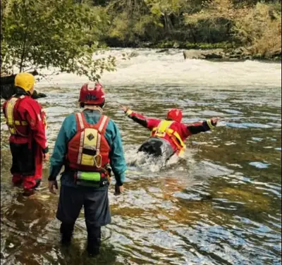 Εκπαίδευση διάσωσης του Ερυθρού Σταυρού σε ορμητικά νερά, Κομοτηνή — φωτογραφία 1 από 5