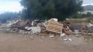 Φωτογραφία της ΓΑΔΑ από την εξόρμηση στη Σαλαμίνα — φωτογραφία 1 από 2